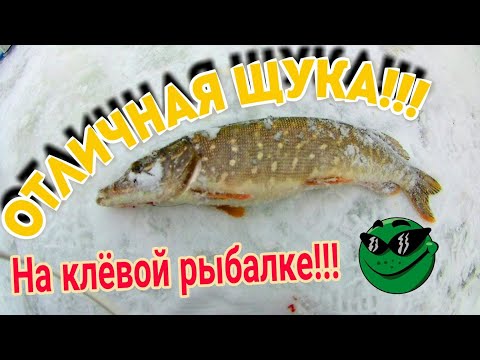 КЛЕВАЯ РЫБАЛКА!ХОРОШАЯ ЩУКА!!!