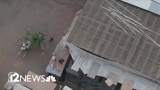 Search for drugs in Phoenix home leads DEA agents to &#39;cockfighting&#39; facility