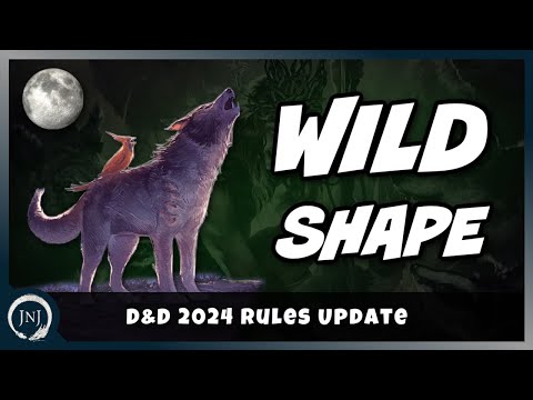 What's Different with Wild Shape in 2024 | D&D 2024 Rules Update