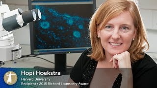 2015 Richard Lounsbery Lecture with Hopi Hoekstra - Digging for Genes That Affect Mammalian Behavior