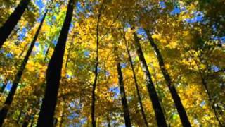 EVA CASSIDY - AUTUMN LEAVES (Lyrics)