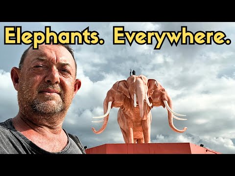 Thailand's Town of Elephants - Why Surin Surprised Me!