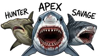 Download lagu Every SHARK TYPE Explained in 9 Minutes mp3