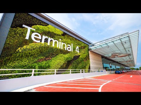 Your Guide to Changi Airport Terminal 4 (T4)