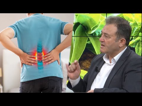 Dhimbjet e mesit dhe bllokimet e hernies diskale / Ylli Merja: Kujdes, ja çfarë të bëni