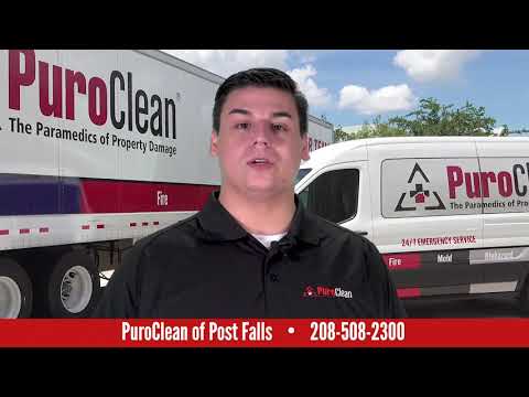 Single Video thumbnail