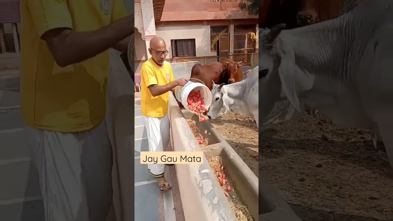 Watch Our Story