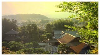 I Am Robot And Proud - Summer Colour