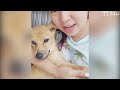 The miraculous transformation of an abandoned, poisoned dog after being rescued and brought home DEFAULT Thumbnail