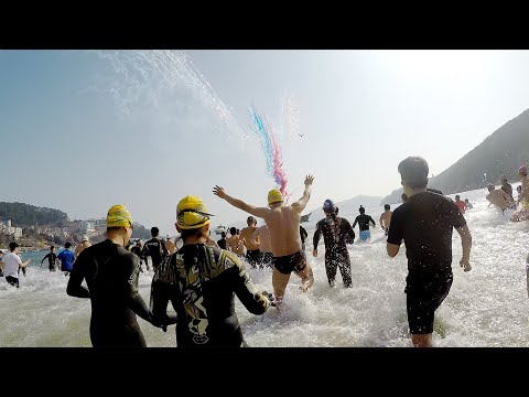 겨울바다 프로젝트. 12월 겨울축제. 남녀노소 안가리고 뛰어드는 이유?