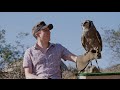 Birds Of Prey Safari At The San Diego Zoo Safari Park