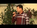 Ратан (Хасан Лечиев) 