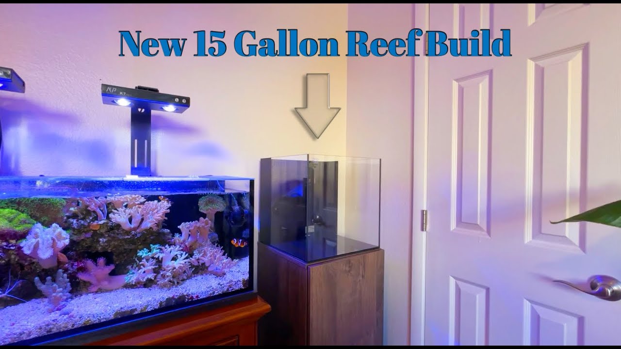 Starting a 15-Gallon Reef Tank: What This Unboxing Setup Gets Right for Beginners