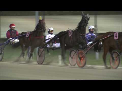 Victoria Park Wolvega 6-1-2017 KOERS 10 ALIENOR - A. BAKKER