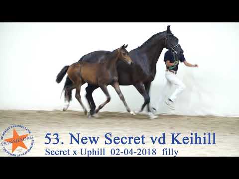 53 New Secret vd Keihill v. Secret x Uphill www.prinsjesdag.eu
