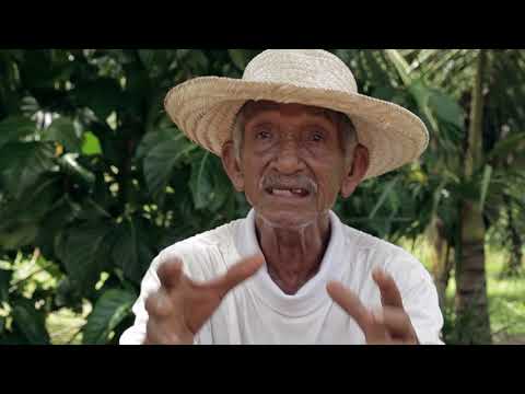 Mostra Equiô: Guriatã (2018)