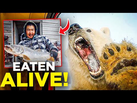 Aaron's Family Faces a TERRIFYING Polar Bear ATTACK