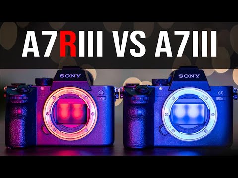 Sony A7 III vs Sony A7R III | Side by Side Review