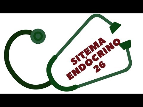 SISTEMA ENDÓCRINO 26 - CICLO MENSTRUAL E OVULAÇÃO