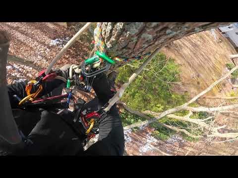 #shorts Attching Fusion Tether to Rope