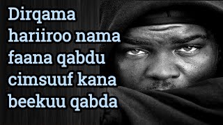 Download lagu Dirqama hariiroo nama faana qabdu cimsuuf kana beekuu qabda dhabuuken dura mp3 Download lagu Dirqama hariiroo nama faana qabdu cimsuuf kana beekuu qabda dhabuuken dura mp3