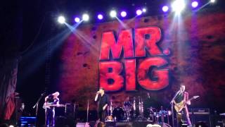 Mr. Big - Fragile