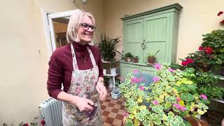 FlyLady Zone 1 December | Tidy Entrance & Conservatory Before Christmas