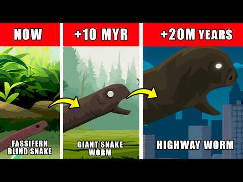 Highway Worm Origin Evolution: How Highway Worm Could Have Evolved