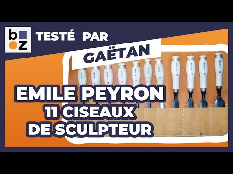 Pochette 11 ciseaux sculpteur EMILE PEYRON