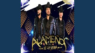 Diferencias Sociales (En Vivo) Lyrics English Translation