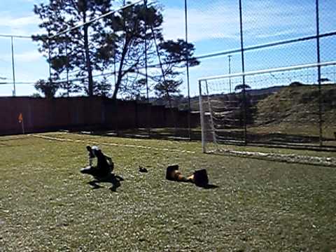 Treino Lucas Gomes