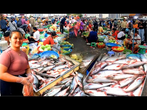 The Best Daily Fish Market in Cambodian in 2025.