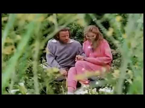 Érzések, érzelmek ...