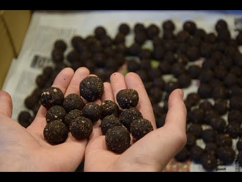 Boilies selber machen