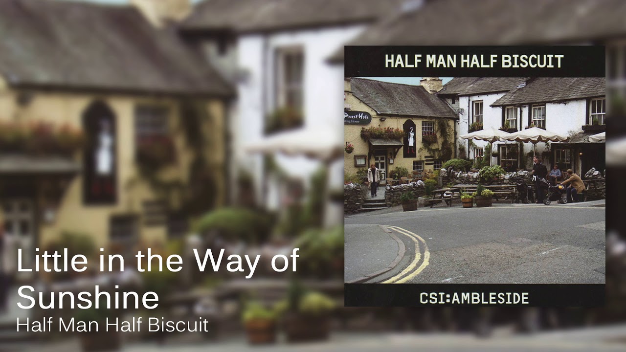 Half Man Half Biscuit - Little In The Way Of Sunshine