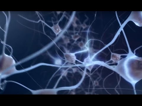 MIT: Minds and Machines