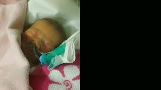 Дневник жизни (начало)