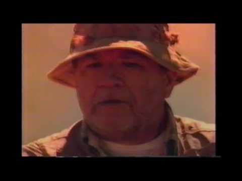 1990s TV Commercials: Volume 153