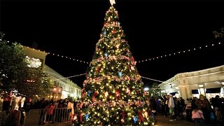 'A Virgin Most Pure' - St Luke's Chelsea Choir Scholars