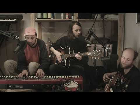 Den svenska björnstammen spelar - Att vara själv och inte ensam alls