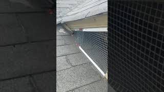Humain way to get rid of Raccoons from attic