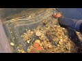 Mega Mess Test