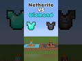 Netherite VS Diamond ARMOR Minecraft Comparison