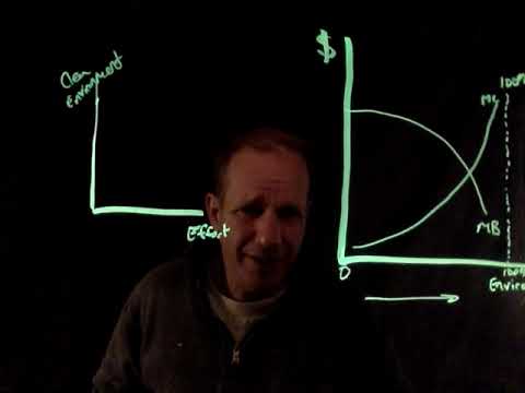 Chapter 31 Optimum Pollution MC MB Model