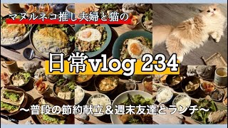 《休日&日常vlog》vo.234⭐︎普段の節約献立＆週末友達とランチ⭐︎