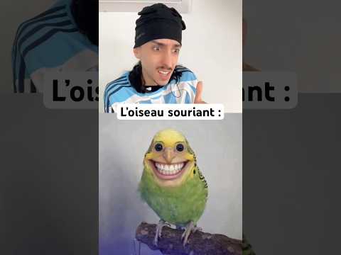 Les ANIMAUX ÉTRANGES qui N’Existeront Bientôt Plus ! #shorts #shortvideo #humour