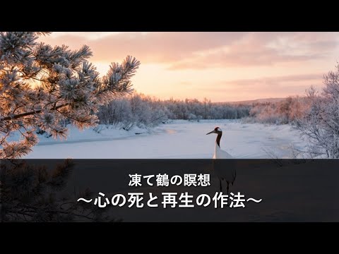 凍て鶴の瞑想 ～心の死と再生の作法～
