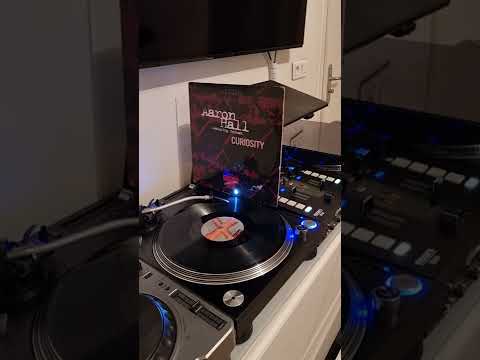 AARON HALL FEAT REDMAN ( curiosity ) marley marl remix radio version