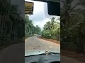 മുണ്ടുർ തൂത സ്റ്റേറ്റ് ഹൈവേയിലെ എഴക്