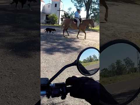Médanos 🏍️, departamento Islas del Ibicuy, provincia de Entre Ríos 🇦🇷